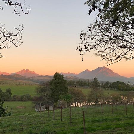 Wildlife Retreat On A Wine-Farm Villa Stellenbosch Exterior photo